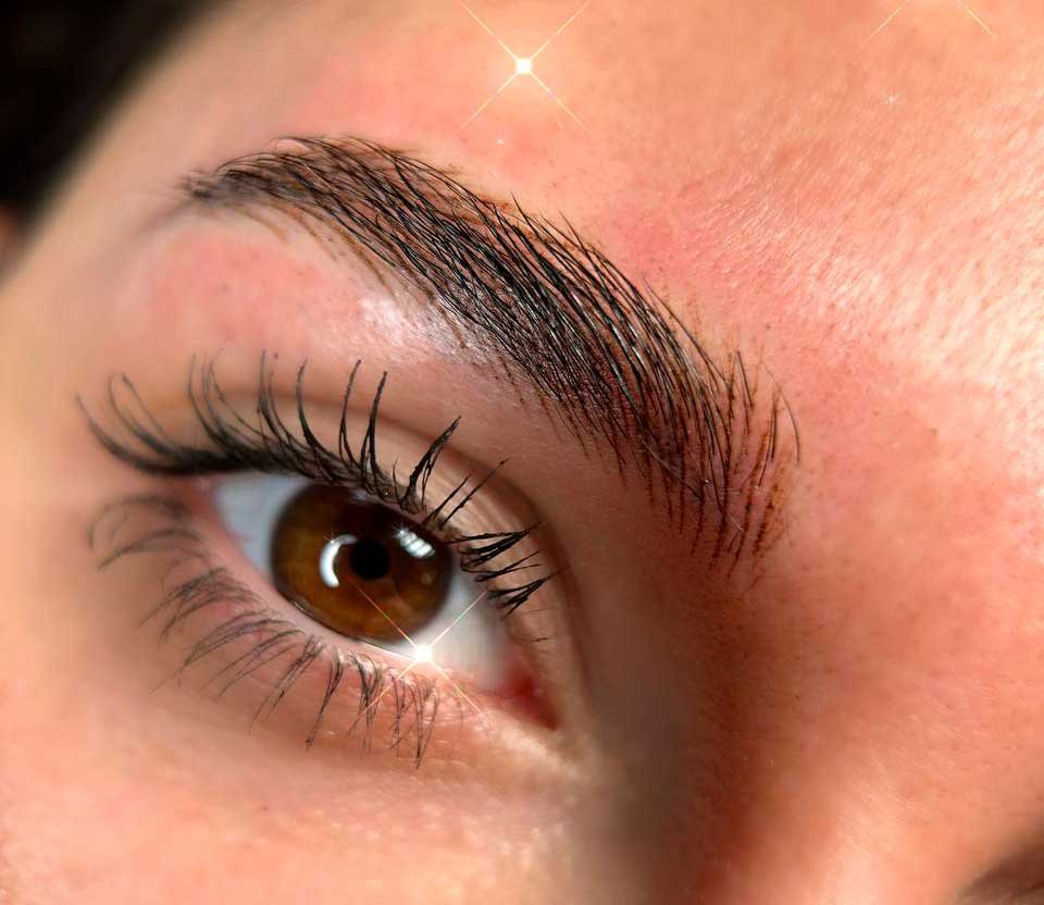 brows-course-1