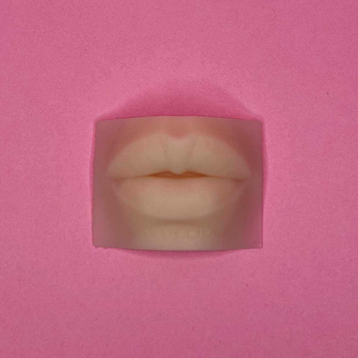 Realistic Silicone 3d Lip Pmu Practice Skin - Image 3
