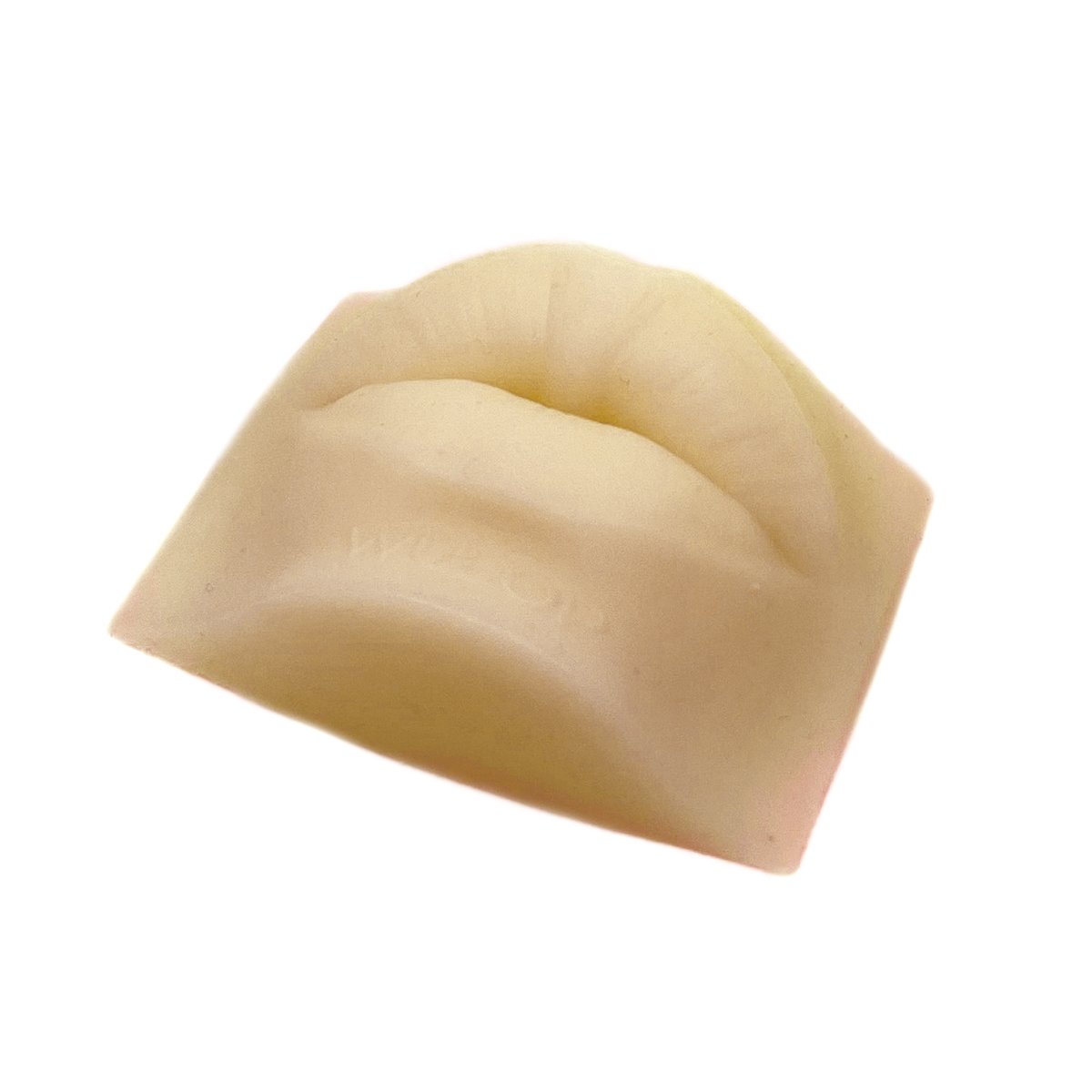 Realistic Silicone 3d Lip Pmu Practice Skin